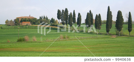 Italy. Tuscany region, Val D'Orcia valley Italy. Tuscany region, Val D'Orcia valley 9940636
