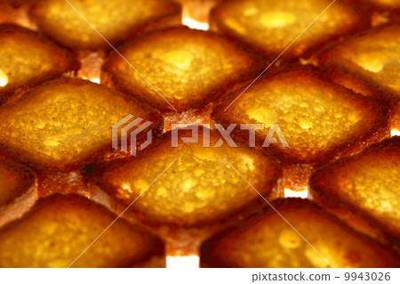 rusks bread toast biscuits, diet food background 9943026