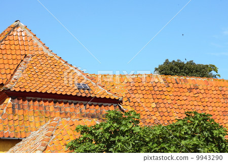 House on Christiansoe island Bornholm Denmark 9943290