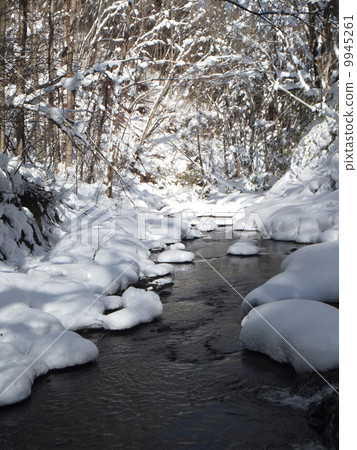 嚴寒的冬天 9945261