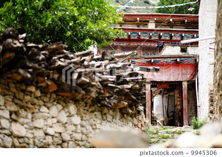 Tibet 9945306