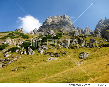 Romania, the rock formations of the Transylvania Alps Romania, the rock formations of the Transylvania Alps 9945657