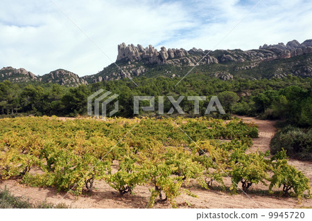 西班牙，Monselaute之地 9945720