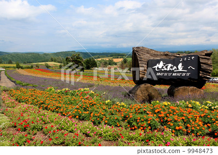 Elvis hill Elvis hill 9948473