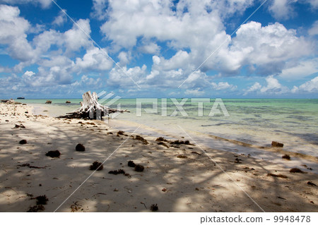 Sea of Saipan 9948478