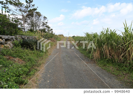 Yoron Island Yoron Island 9948640