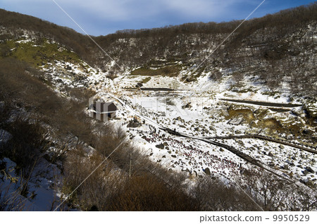 Nasu's sights sterilized stone 9950529