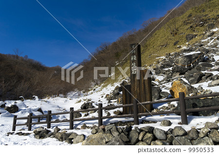 Nasu's sights sterilized stone 9950533