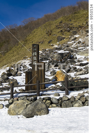 Nasu's sights sterilized stone 9950534