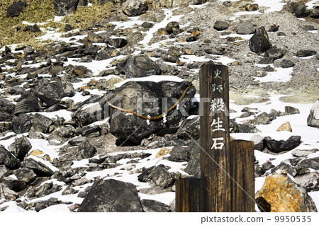 Nasu的目標是消毒石頭 Nasu的目標是消毒石頭 9950535