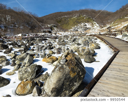 Nasu's sights sterilized stone 9950544