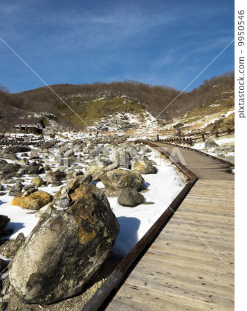 Nasu's sights sterilized stone 9950546