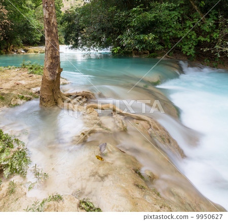 Waterfall in Mexico Waterfall in Mexico 9950627