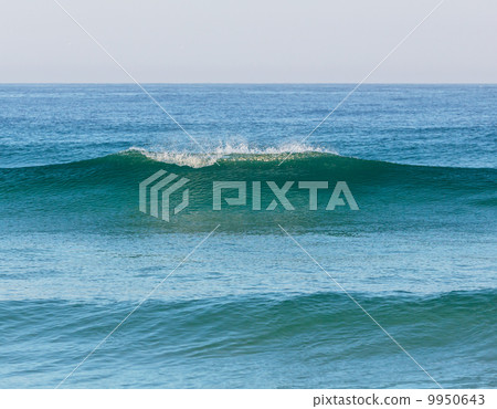 Wave 9950643