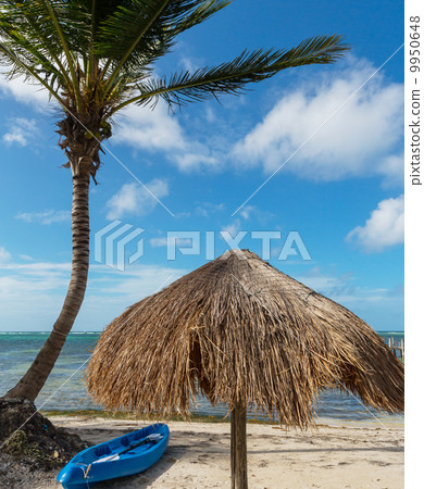 Tropical beach Tropical beach 9950648