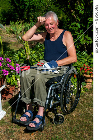 Gardening in Wheelchair 9950669