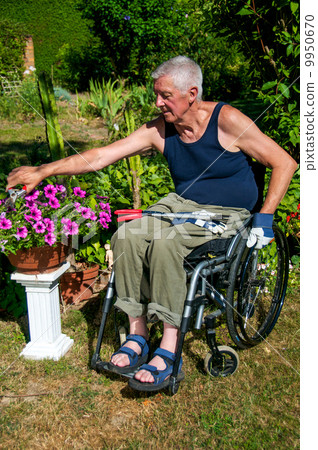 Gardening in Wheelchair Gardening in Wheelchair 9950670