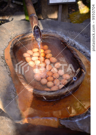 Hot spring egg 9950704