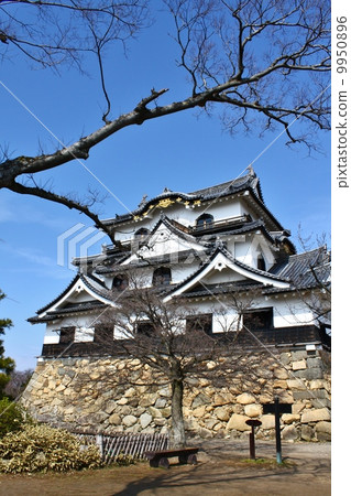 Hikone castle 9950896