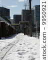 城市雪 9950921