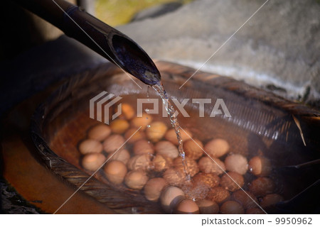 Hot spring egg 9950962