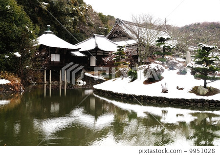 雪的Negori寺（聖潔聖潔漂浮在風景秀麗的花園的神聖池塘） 9951028