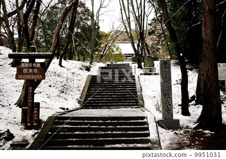 雪的Negoriji 9951031