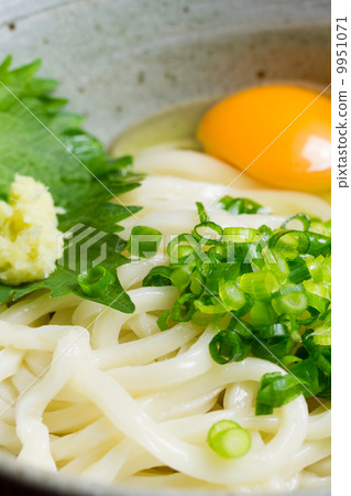 Japanese food image - Sanuki udon (Kama ball Udon) ~ 9951071