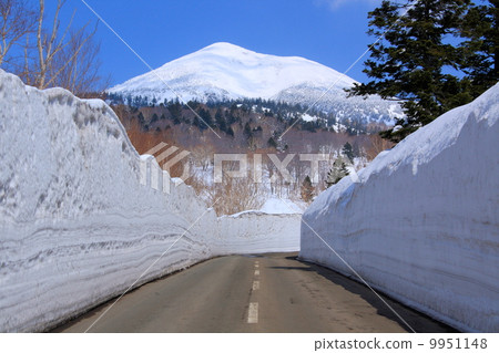 Snow corridor of Hakkoda Snow corridor of Hakkoda 9951148