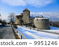 Castle of the Principality of Liechtenstein 9951246