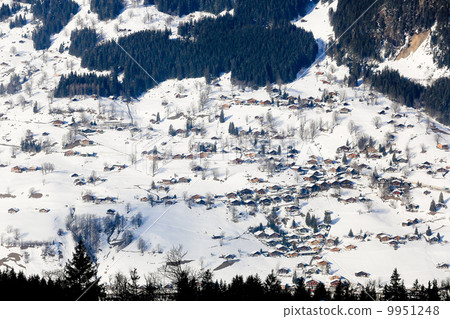 Village of Jungfrau Peak Village of Jungfrau Peak 9951248
