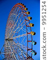 Ferris wheel for diamonds and flowers 9951254