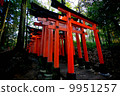 Fushimi-Inari Taisha  9951257