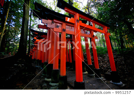 Fushimi-Inari Taisha Fushimi-Inari Taisha 9951257