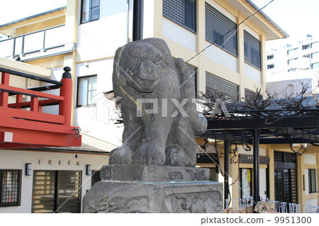 Koguni Temple's Komaito Acho 9951300