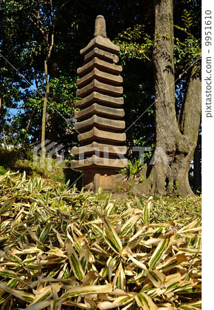 Kiyosumi Garden · Multiple tower (Eleven) Kiyosumi Garden · Multiple tower (Eleven) 9951610