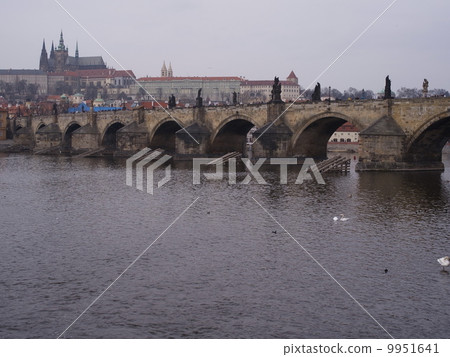 布拉格Carel橋和布拉格城堡 布拉格Carel橋和布拉格城堡 9951641