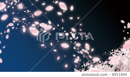 Cherry blossoms 9951894