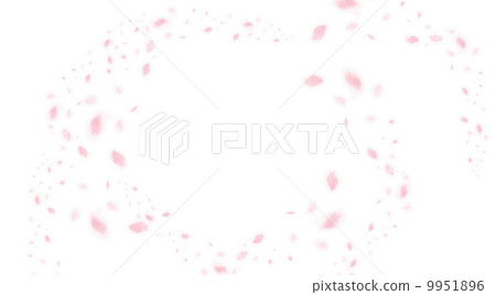 Cherry Blossoms	 9951896