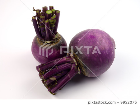 Pungent radish 9952076