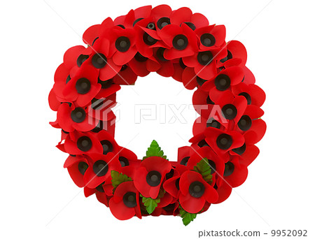 Poppy day great remembrance war world flanders 9952092