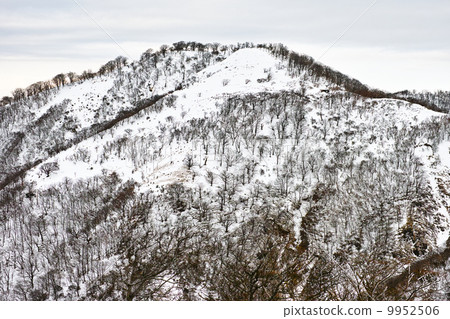 Winter scene of the Tanzawa mountains 9952506