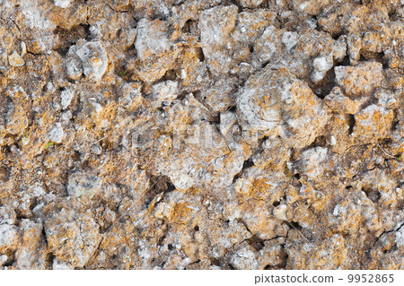 tileable cracked soil texture on the ground