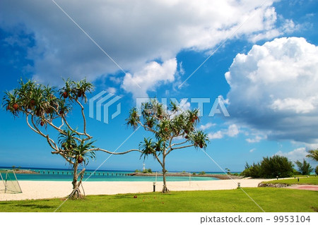 Resort Resort 9953104