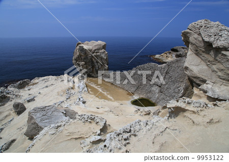 塞諾鼻子 塞諾鼻子 9953122