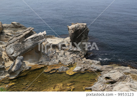 塞諾鼻子 塞諾鼻子 9953123