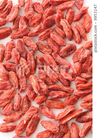 枸杞子 枸杞子 9953147