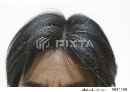 50歲的男性頭髮 50歲的男性頭髮 9954969