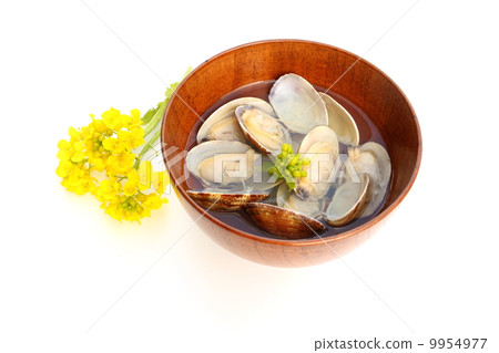 蛤蜊 蛤蜊 9954977