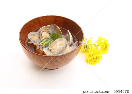 蛤蜊 蛤蜊 9954978